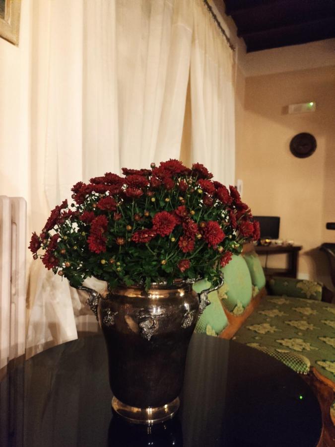 Dimora Marella Patrica - Frosinone Hotell Eksteriør bilde